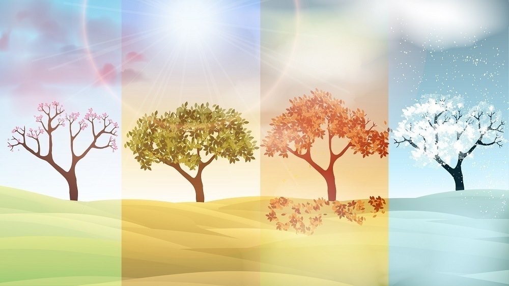Picture of the 4 seasons