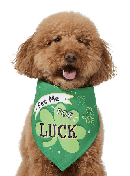 St. Patrick’s Day Dog Toys and Accessories  from Chewy | Cartageous.com/Blog